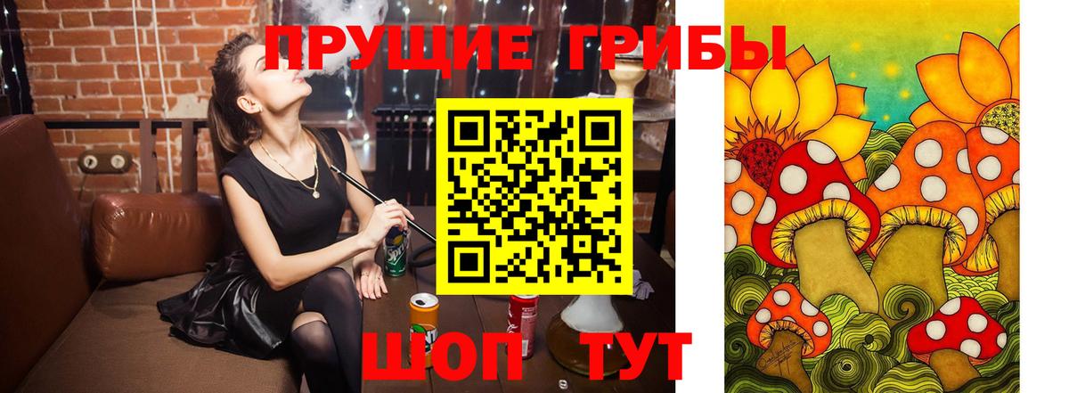 Псилоцибиновые грибы Magic Shrooms  Галлюциногенные грибы Psilocybe  Россия  Вход с VPN 